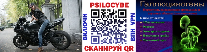 продажа наркотиков  Шиханы  Псилоцибиновые грибы Magic Shrooms 